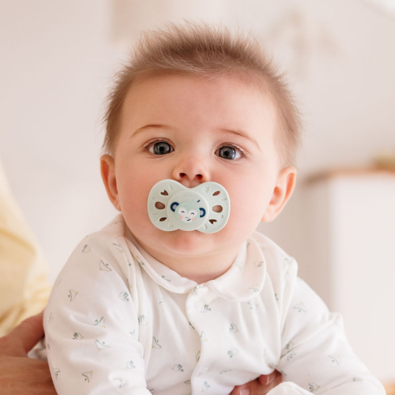 Lote de 2 chupetes anatómicos animales