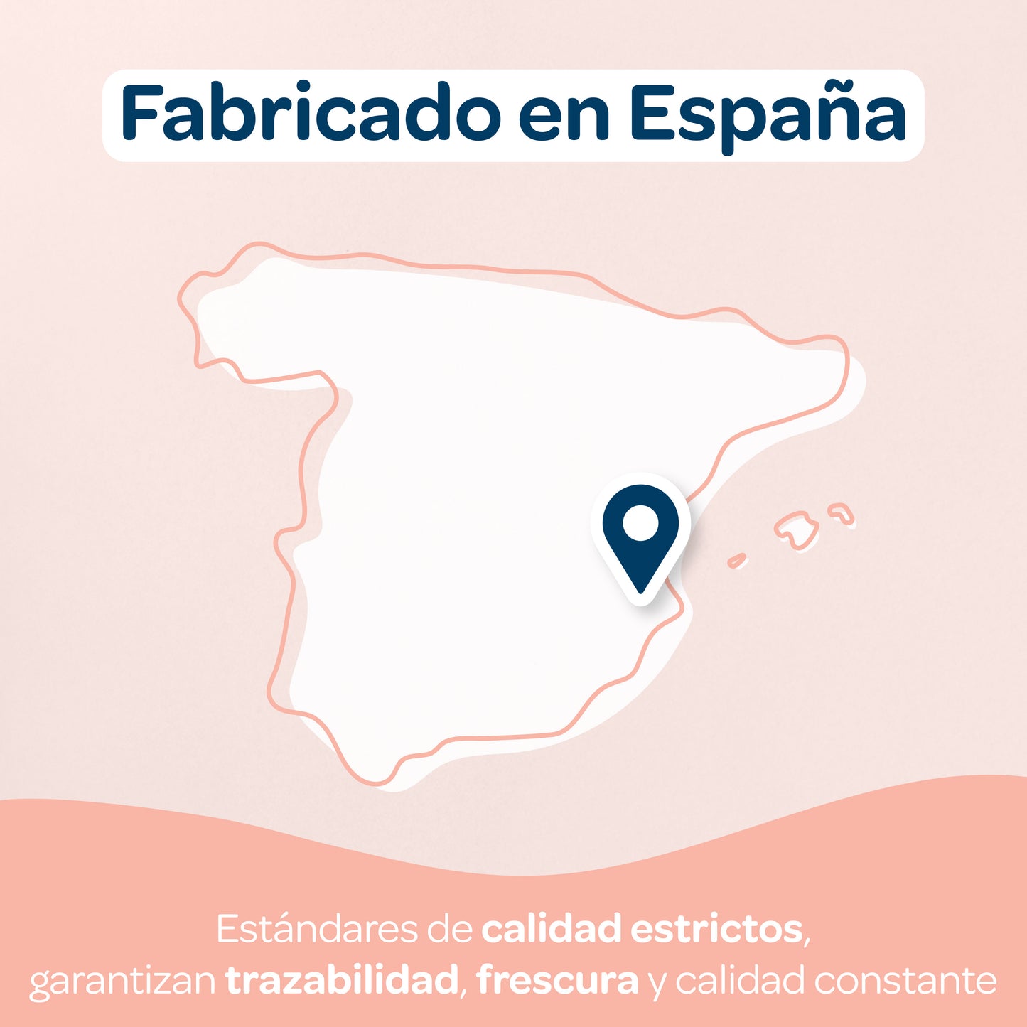 Toallitas Cara y manos