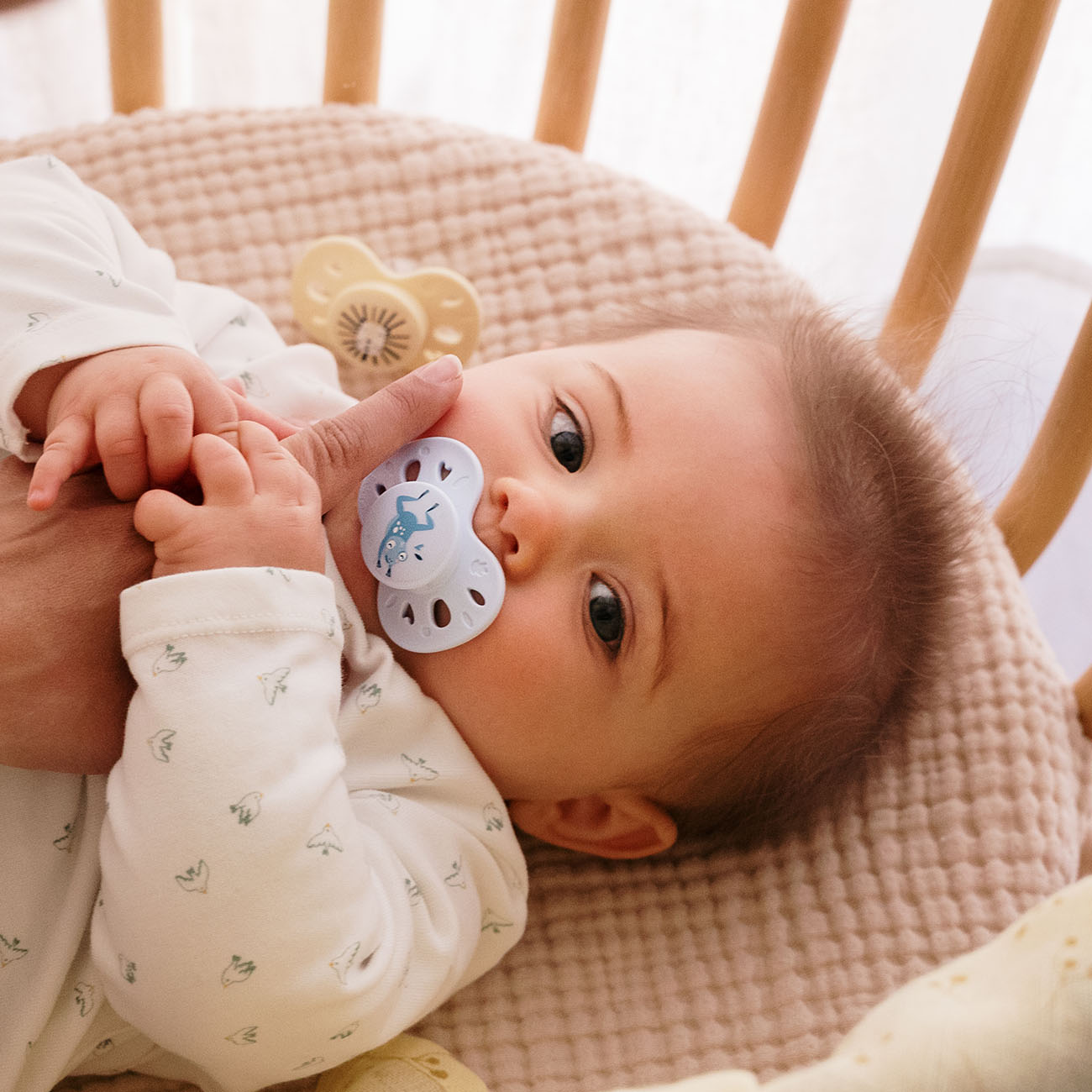 Lote de 2 chupetes anatómicos animales